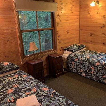 Springbrook Mountain Chalets Bagian luar foto