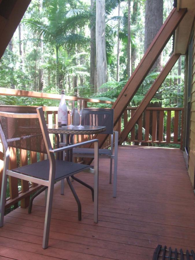 Springbrook Mountain Chalets Bagian luar foto