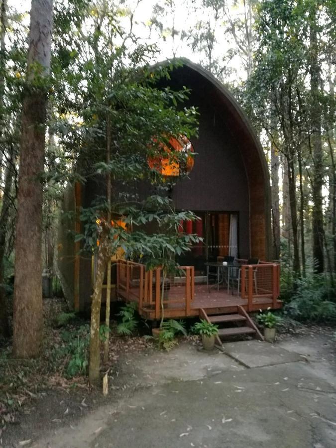 Springbrook Mountain Chalets Bagian luar foto