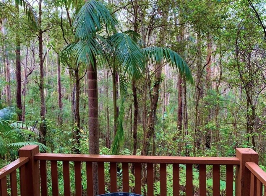 Springbrook Mountain Chalets Bagian luar foto