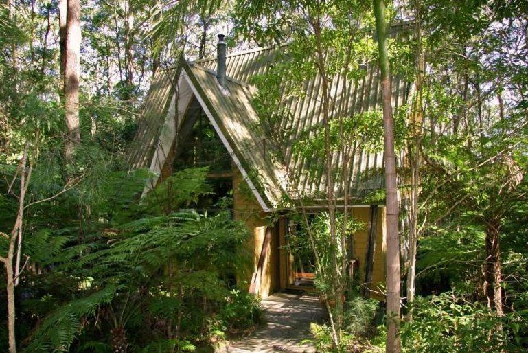 Springbrook Mountain Chalets Ruang foto