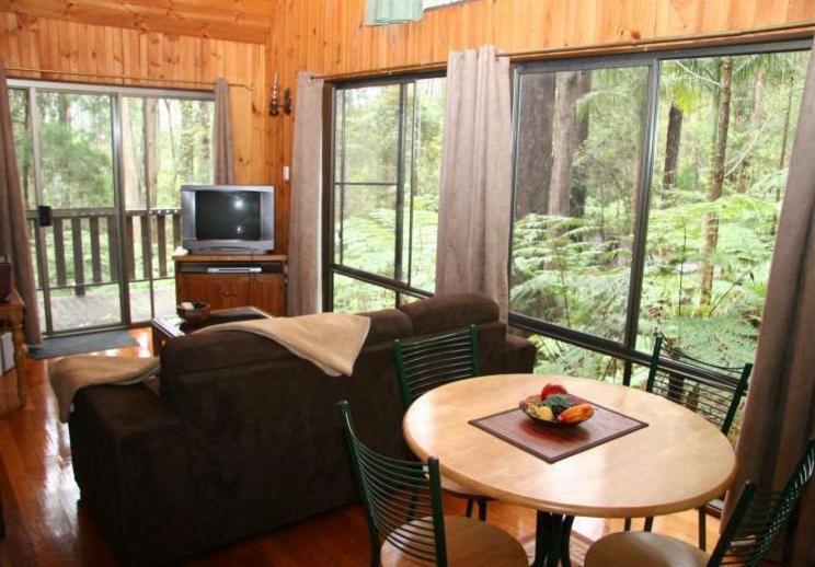 Springbrook Mountain Chalets Ruang foto