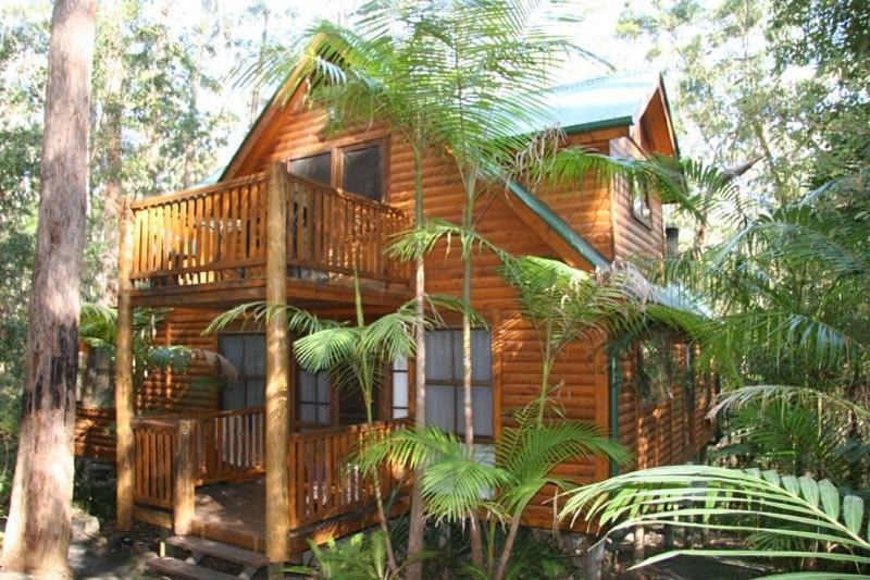 Springbrook Mountain Chalets Ruang foto
