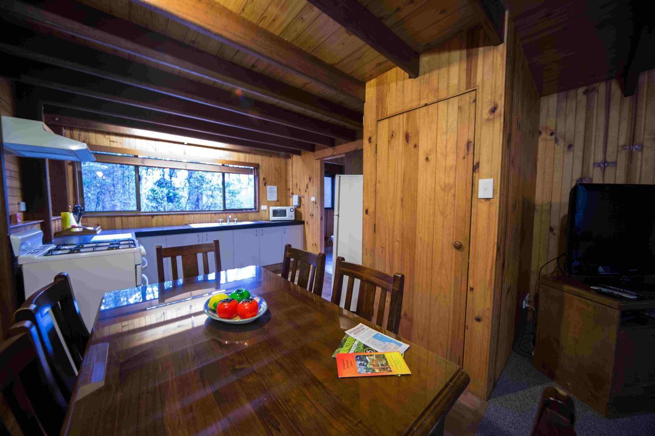 Springbrook Mountain Chalets Ruang foto