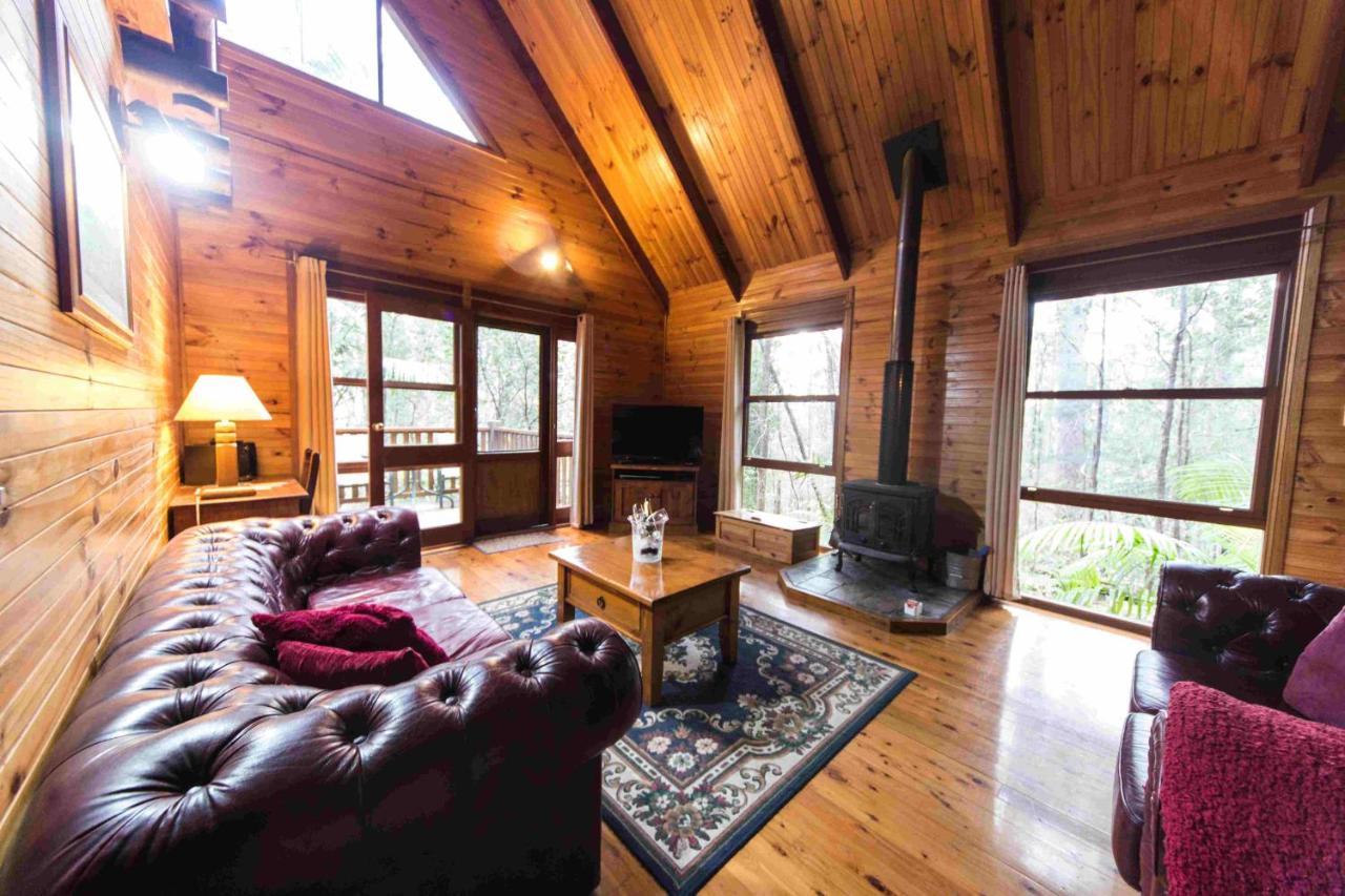 Springbrook Mountain Chalets Bagian luar foto